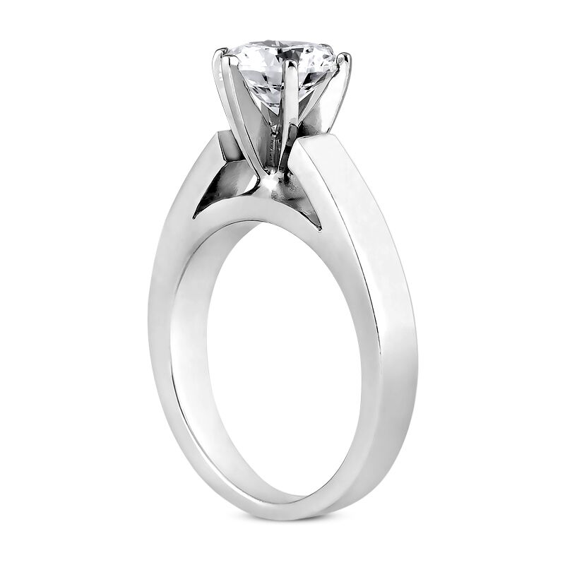 Cathedral Solitaire Engagement Ring - You Captured My Heart